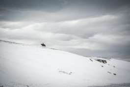 AjíMolido Films — 