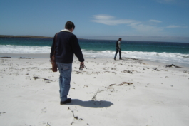 AjíMolido Films — 