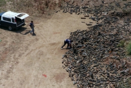 AjíMolido Films — 