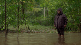 AjíMolido Films — 